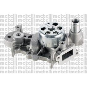 Pompe À Eau Metelli 24-0981
