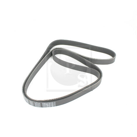 Courroie D'accessoires Nps T111a69