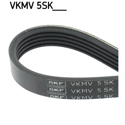 Courroie D'accessoires Skf