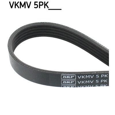 SKF Cinghia Multi-V VKMV 7PK1735, Lunghezza Personalizzata Per Organi Ausiliari, Qualità OE