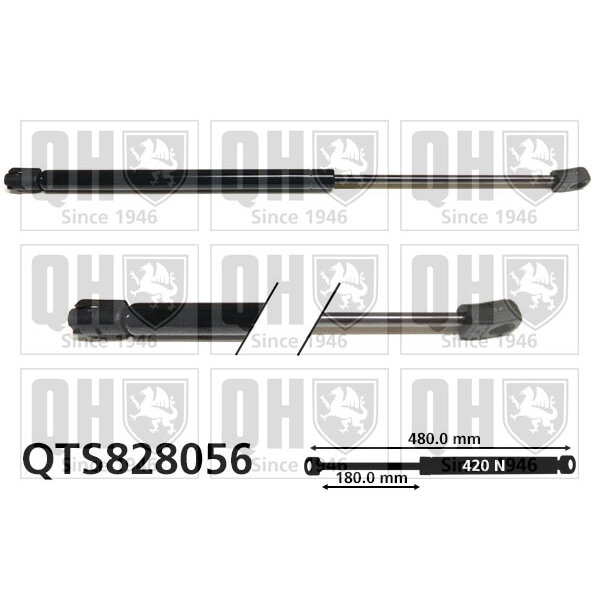 Vérin De Coffre Quinton Hazell Qts828056