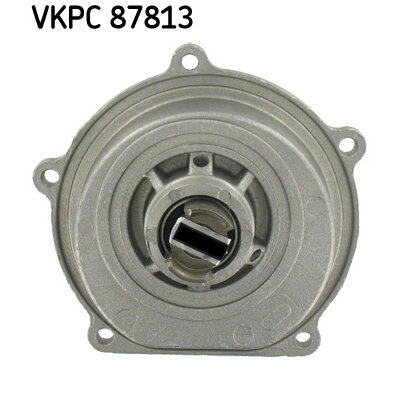 Pompe À Eau Skf Vkpc 87813
