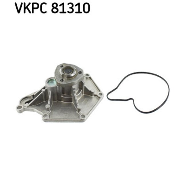 Pompe À Eau Skf Vkpc 81310