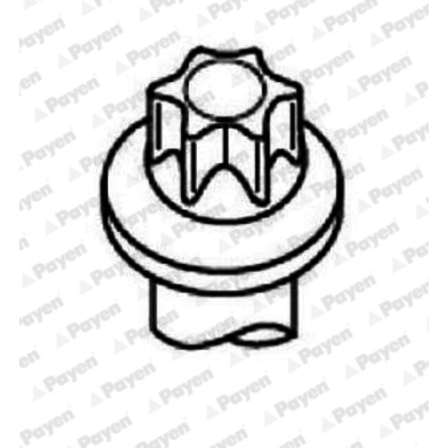 Jeu De Vis De Culasse Payen Hbs521