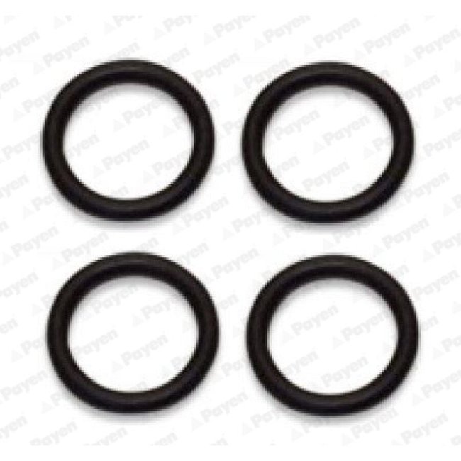 Jeu De Joints D'étanchéité Collecteur D'amission Payen Ha5029