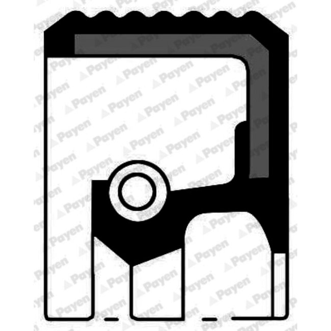 Bague D'étanchéité Tige De Soupape Payen Na5036