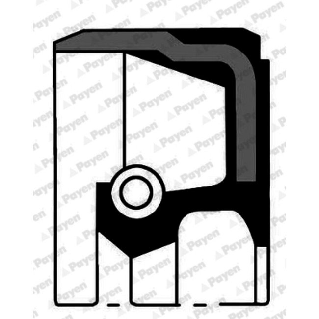 Bague D'étanchéité Arbre À Cames + Vilebrequin Payen Nb884