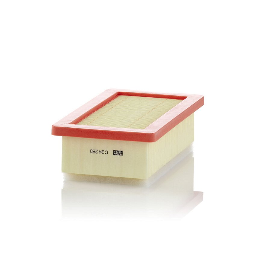 Filtre À Air Mann C24250