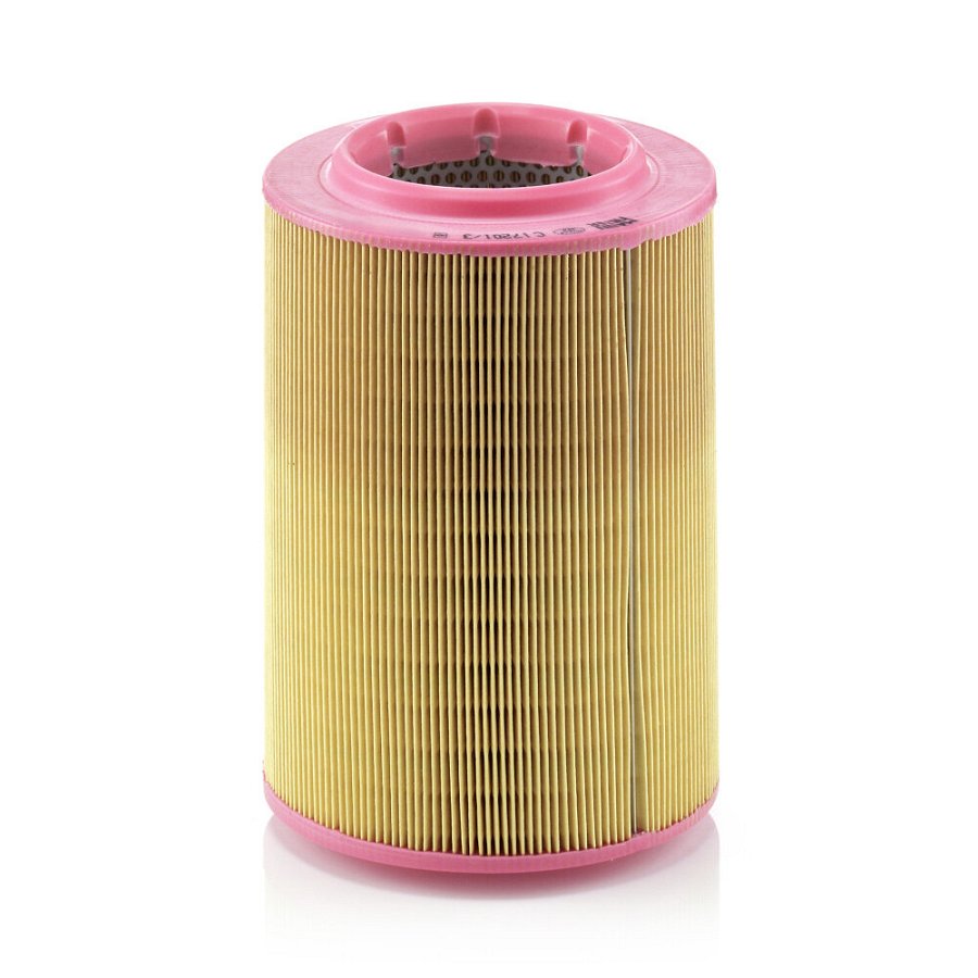 Filtre À Air Mann-filter C17201/3