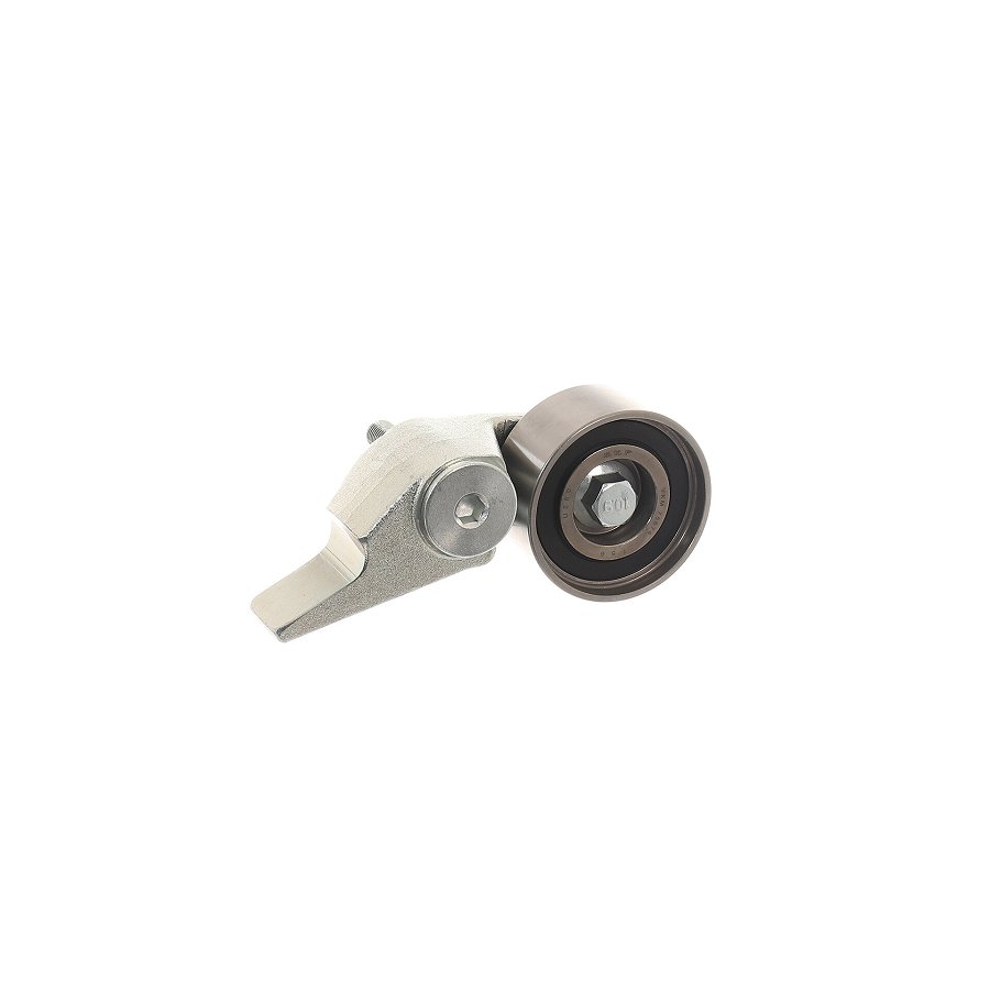 Galet Tendeur De Courroie Skf Vkm75676