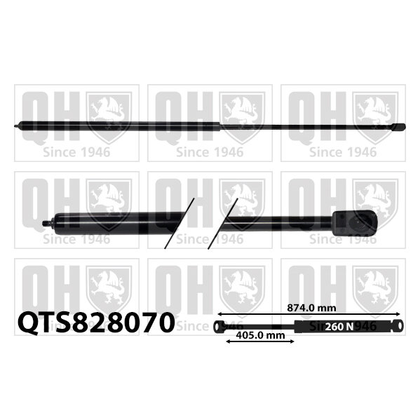 Vérin De Capot Quinton Hazell Qts828070