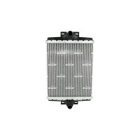 BSG BSG 15-520-019 Radiateur Du Moteur