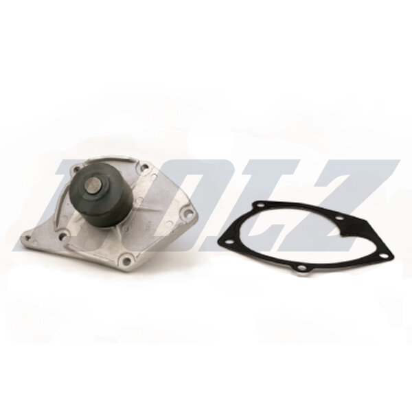 Pompe À Eau Dolz R227