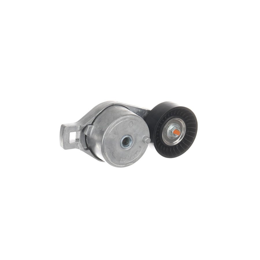 Galet Tendeur De Courroie Skf Vkm 38611