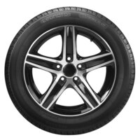 Pneu LEONARD SUMMER 01 205/55 R17 95 V XL
