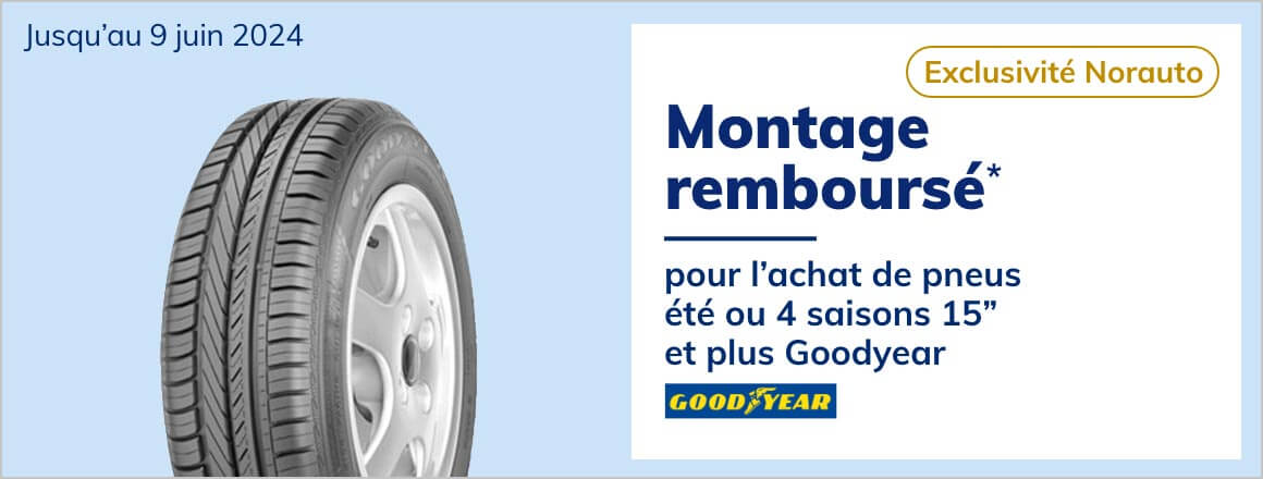 Pneu Été GOODYEAR 205/55 R17 95 V - Norauto